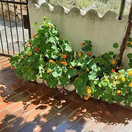 Apartman Legac Starigrad  Exteriér fotografie